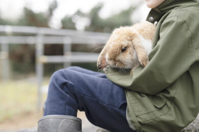 Lärare måste ges verktyg för att upptäcka barn som lever med våld i hemmet